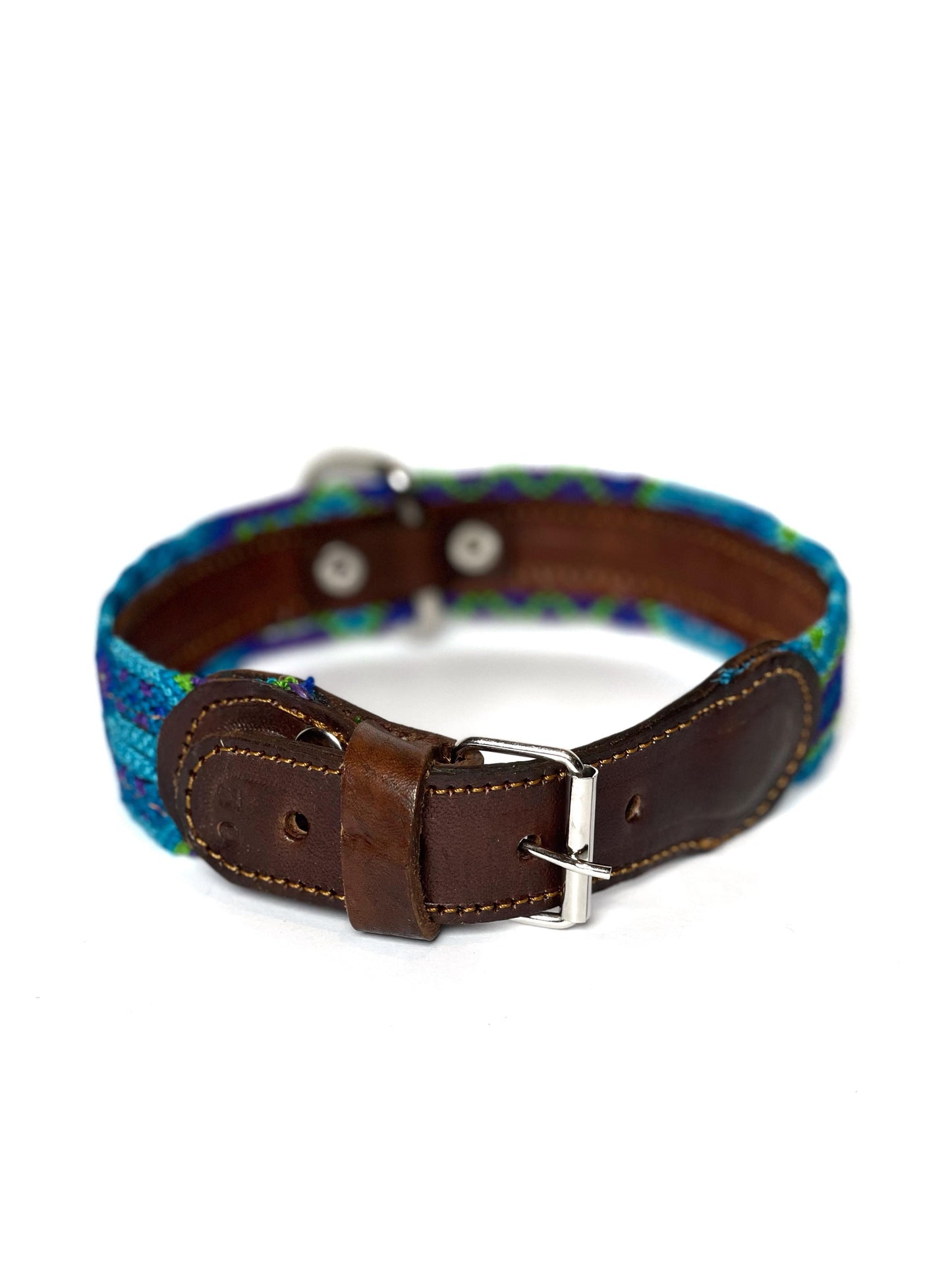 Caelus Dog Collar Medium