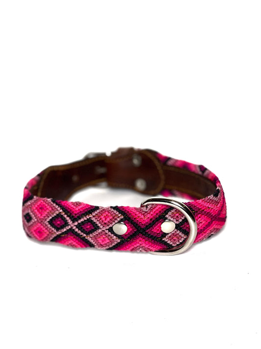 Canela Dog Collar Medium
