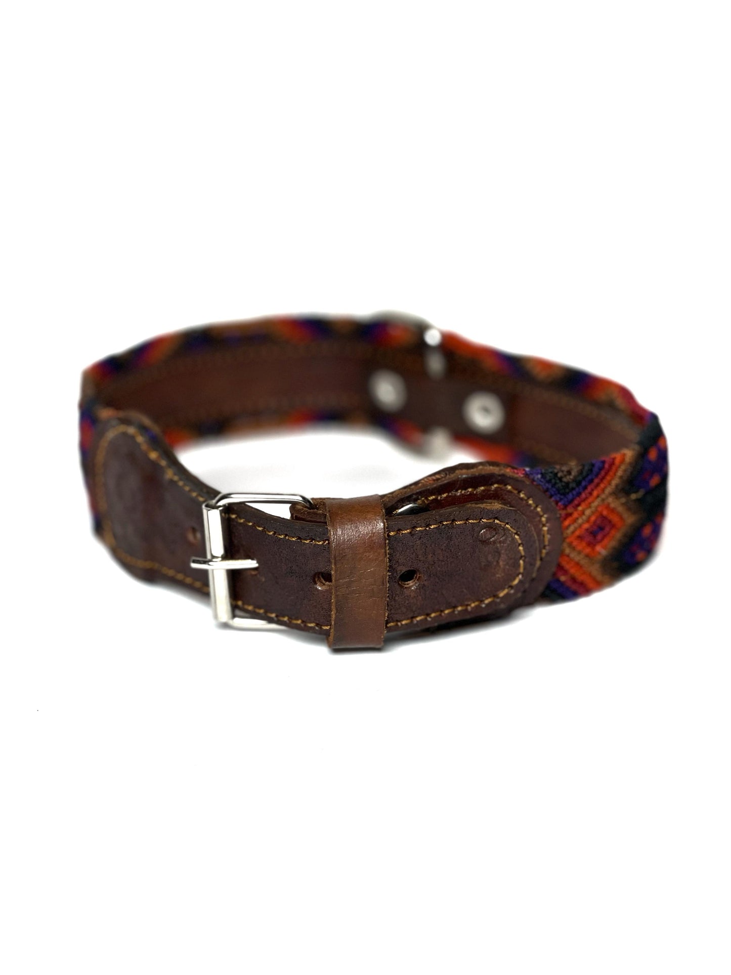 Vida Dog Collar Medium