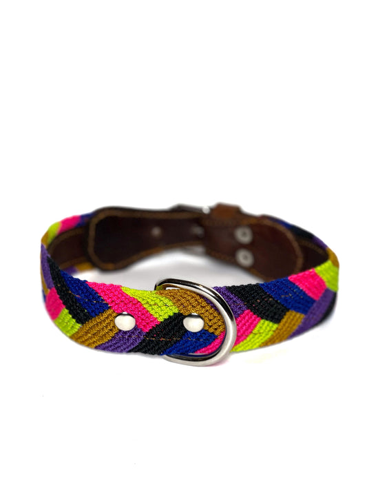 Lobo Dog Collar Medium