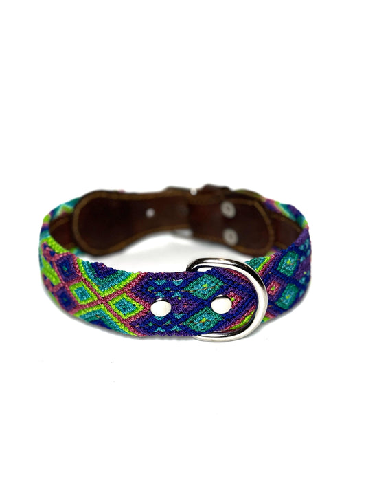 Fiero Dog Collar Medium